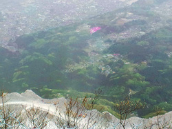 武甲山からの眺め